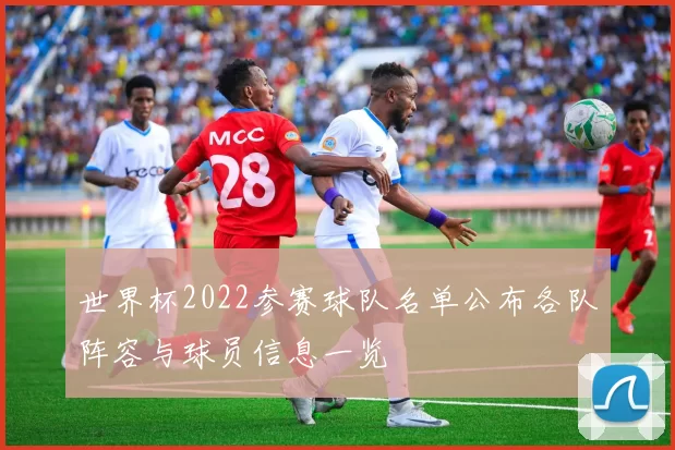 世界杯2022参赛球队名单公布各队阵容与球员信息一览