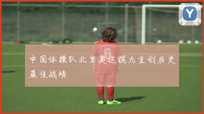 中国体操队北京奥运揽九金创历史最佳战绩