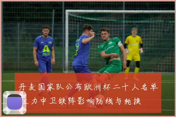 丹麦国家队公布欧洲杯二十人名单 主力中卫缺阵影响防线与轮换