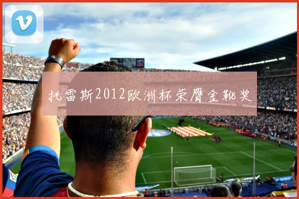 托雷斯2012欧洲杯荣膺金靴奖