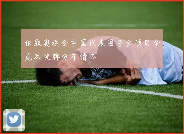 伦敦奥运会中国代表团夺金项目全览及奖牌分布情况