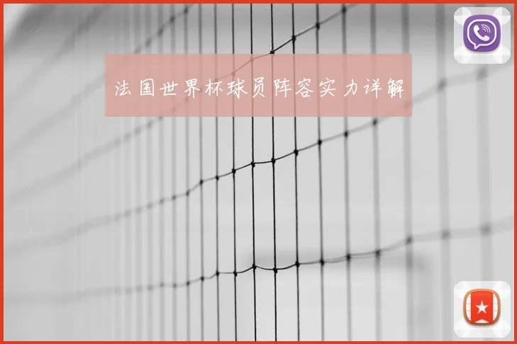 法国世界杯球员阵容实力详解