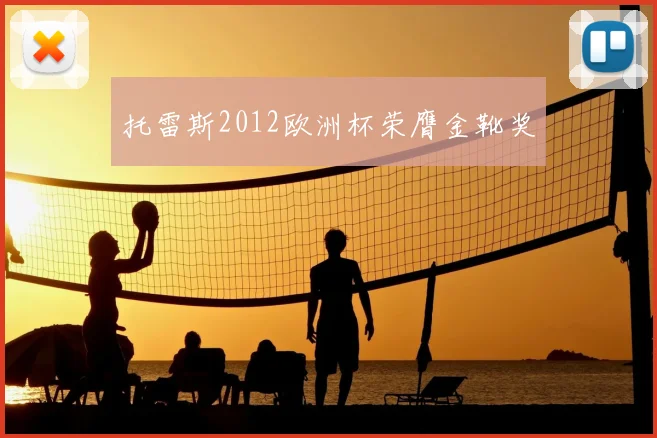 托雷斯2012欧洲杯荣膺金靴奖