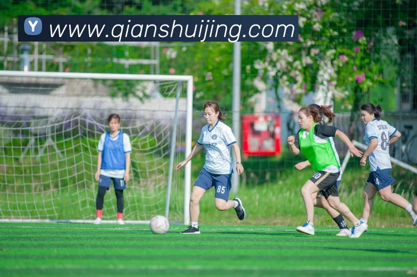 数据防护可视化